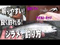 【シラメの釣り方】早春のミッジングを解りやすく解説します！【フライフィッシング】