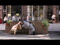 Dsny clean curbs with buddy the rat and raccoon