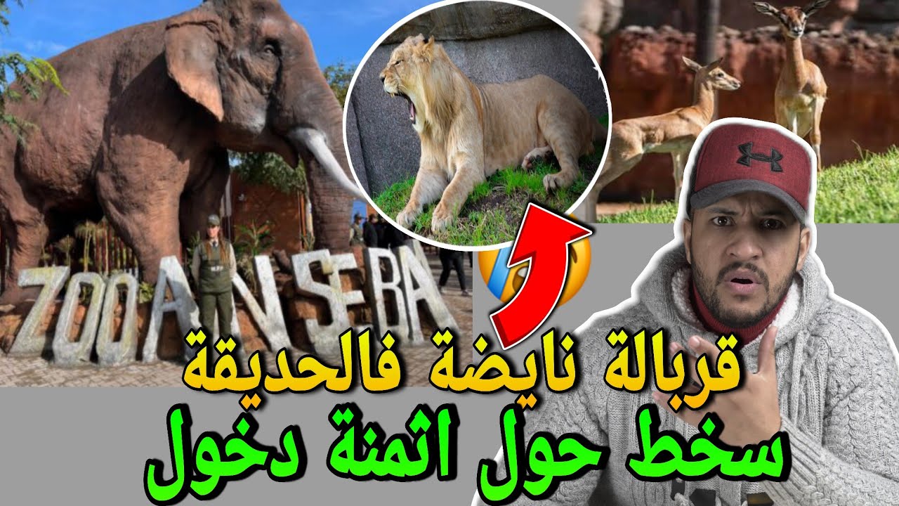 قربالة نايضة بعد افتتاح حديقة الحيوانات عين السبع بسبب اثمنة دخول للحديقة🔥