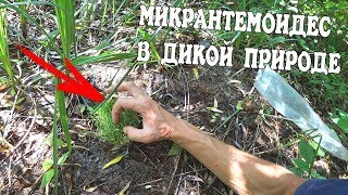 ЭКСПЕРИМЕНТ! ОСТАВИЛ ЕГО НА МЕСЯЦ В ДИКОЙ ПРИРОДЕ!!!