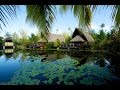 Traditional polynesian home with modern comforts in fare french polynesia