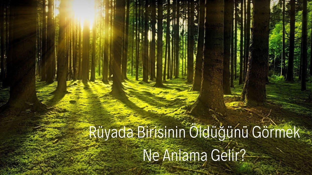 Rüyada Birisinin Öldüğünü Görmek Ne Anlama Gelir - YouTube