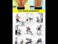BIG BACKWorkoutforintermediate inHindi!BACK Workout intermediate keliye #intermediate #workout #gym