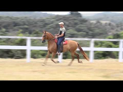 35- Quantica Meaípe