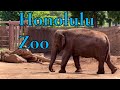 Honolulu zoo  waikiki hawaii  virtual tour  bret kilauea