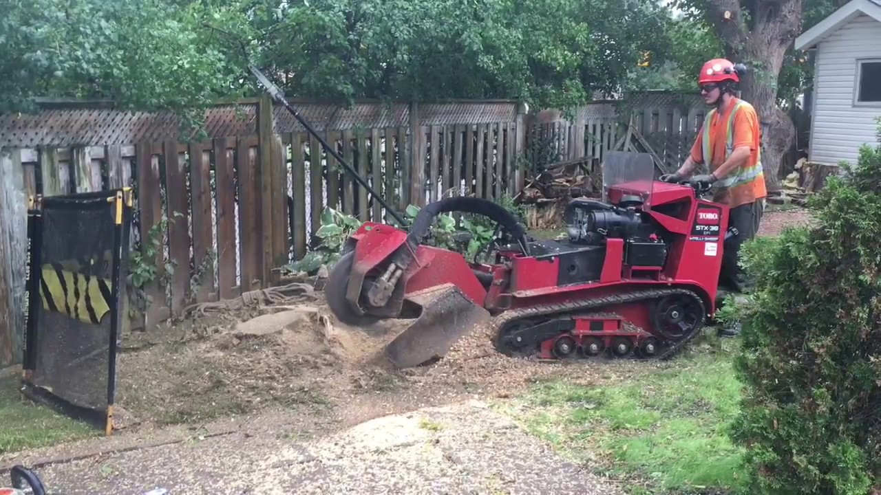Lumberjack Tree Trimming - YouTube Ron Williams