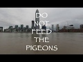 Do Not Feed The Pigeons - VR180 3D