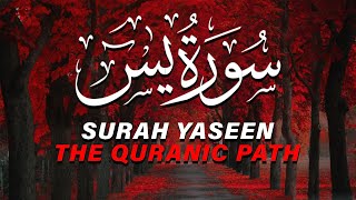 Surah Yasin(Yaseen) | Full With Arabia | Beautiful recitation| یس سورہ36|| Quranic Path #viral