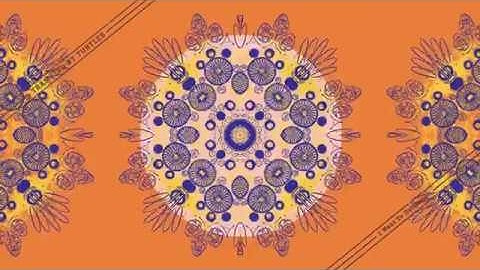 Trampled By Turtles - "I Went to Hollywood" - Official Video