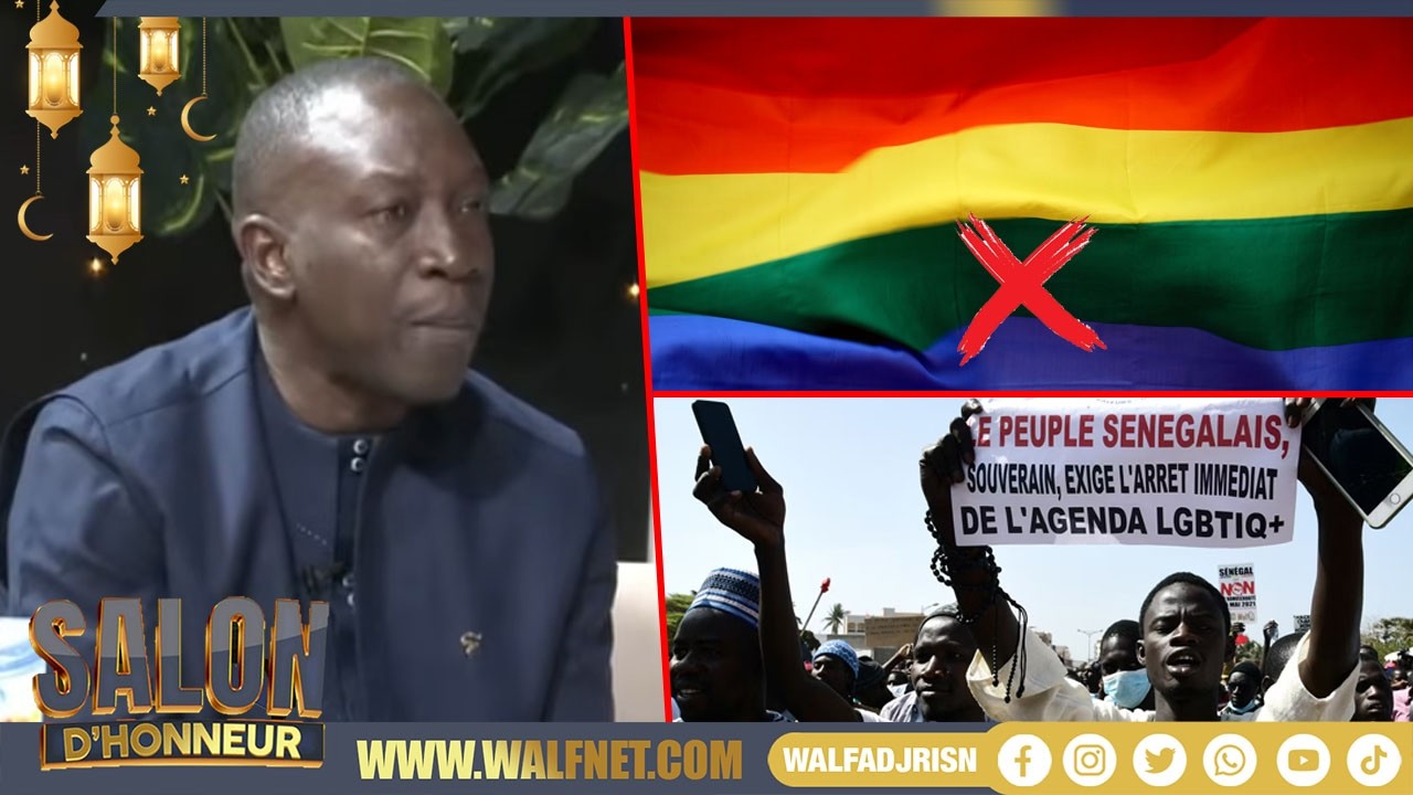 Criminalisation de l'homosexualité : Ab. Mbow corrige les Incohérences des Détracteurs de Pastef