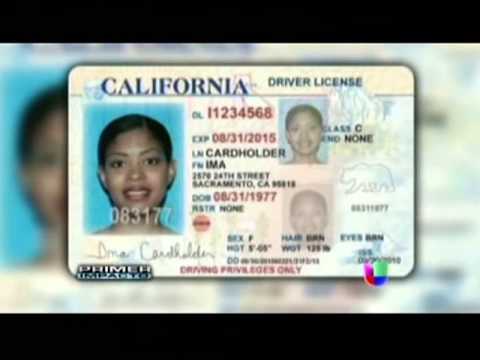 licencias para indocumentados en california youtube how to make identification card