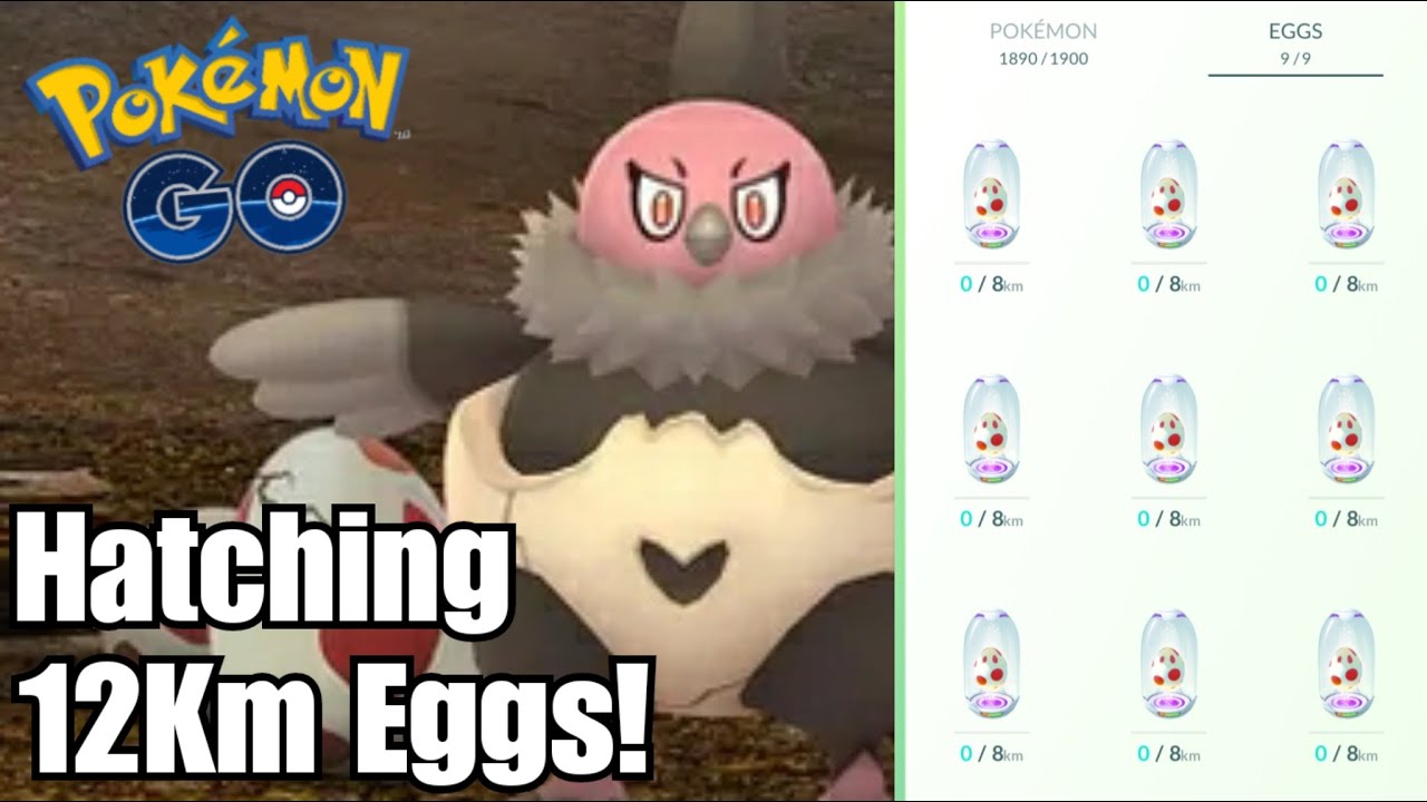 12km Egg Hatches Pokemon GO - YouTube