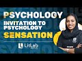 SENSATION | PSYCHOLOGY | FYUG | LitLab Learning
