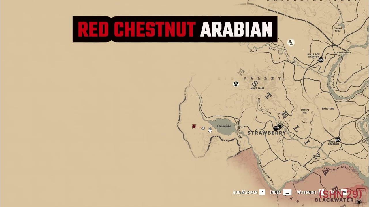 Where Is The Red Chestnut Arabian Rdr2 Rare Wild Red Chestnut Arabian Horse Location - RDR2 - YouTube