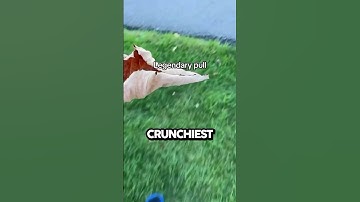 De meest bevredigende Leaf Crunch ooit @leafcrunchquest