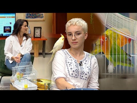 Video: Si T’i Bëni Miqtë Papagajtë