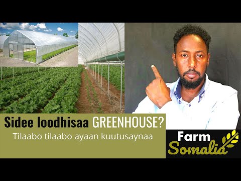 Sidee loodhisaa GREENHOUSE. Sida loo dhiso Greenhose ayaan tusaynaa beeralayda soomaaliyeed.