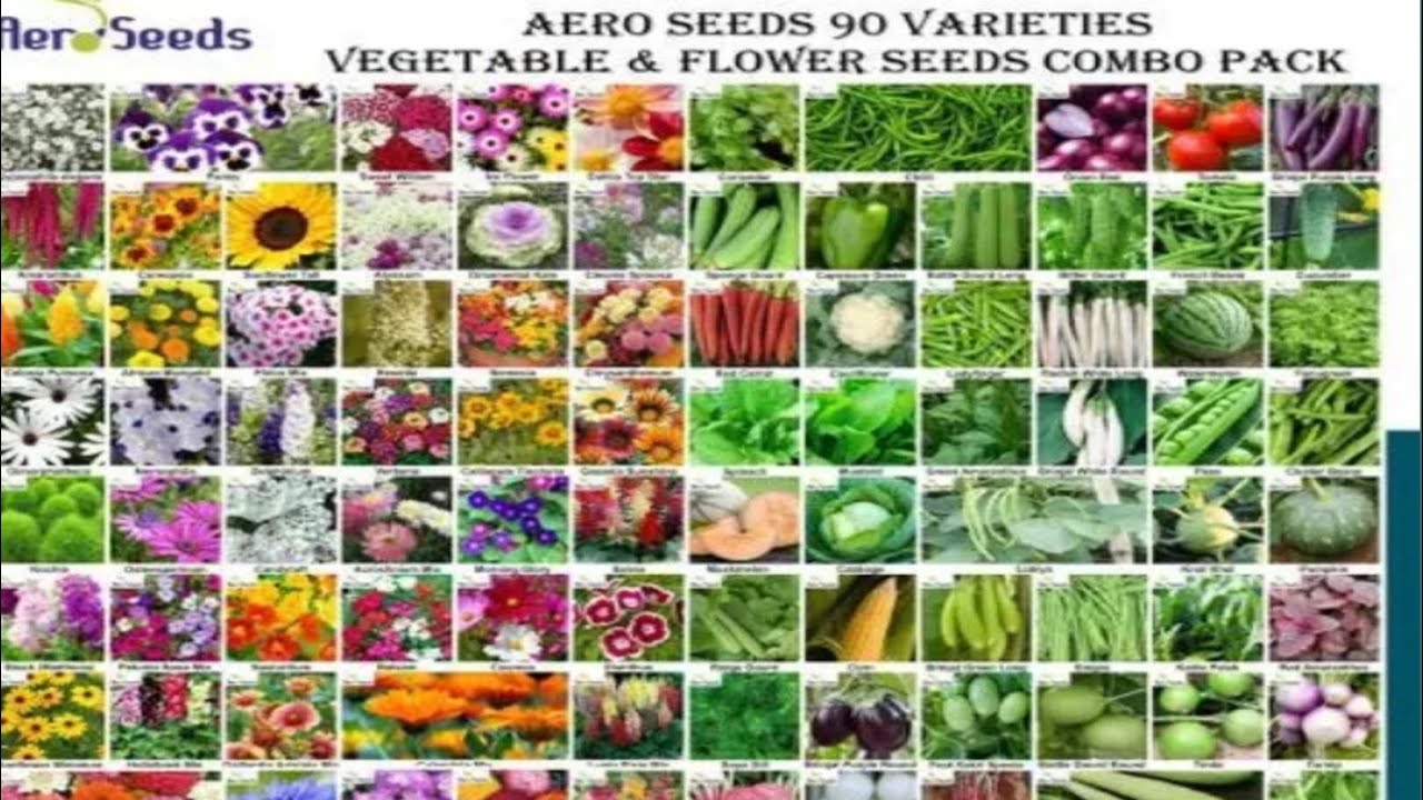 Meesho vegetables seeds Review || Vegetables seeds from meesho review