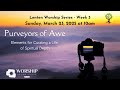 Curiosity as a Spiritual Tool- Lenten Worship Series: Week 3 #spirituality #awe #curiosity