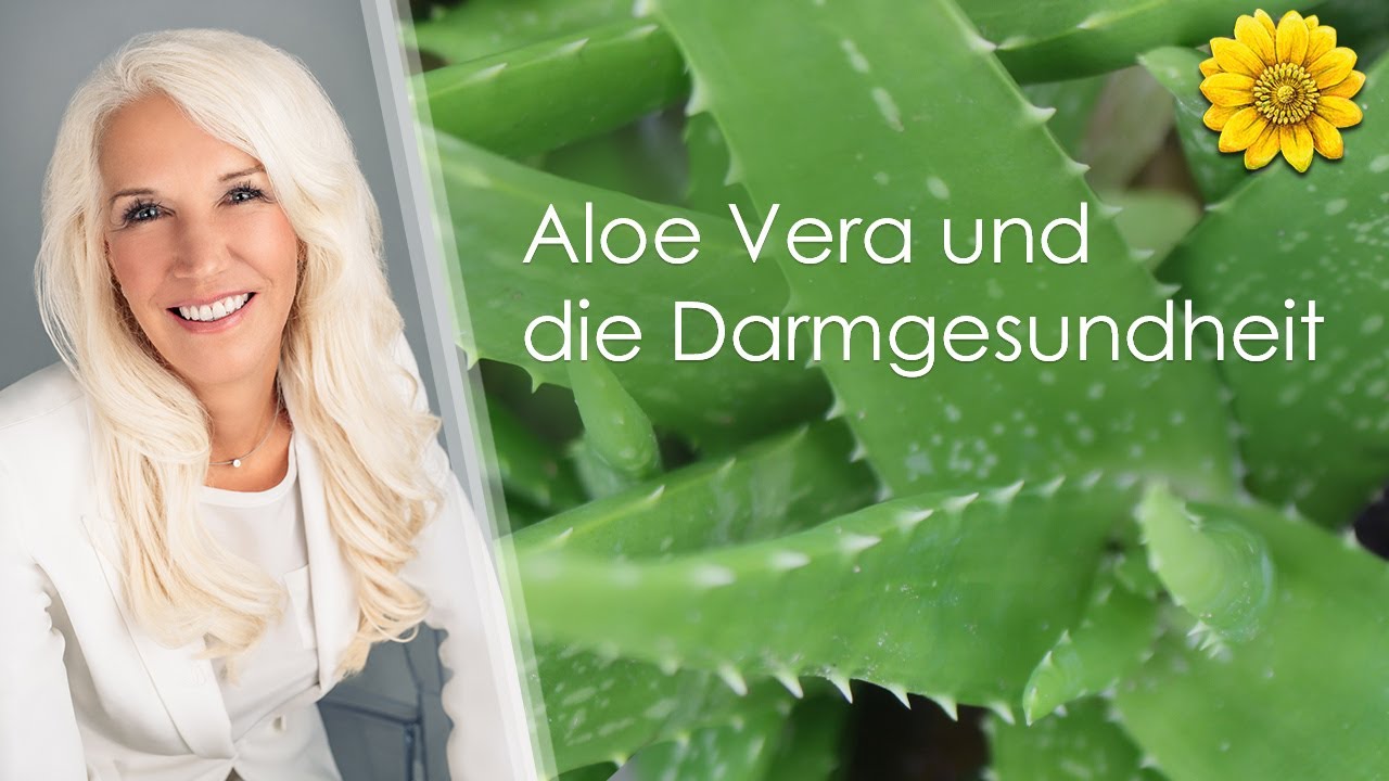 Aloe Vera und die Darmgesundheit - YouTube