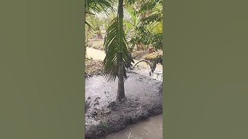 máy bơm bùn cực mạnh cân mọi địa hình