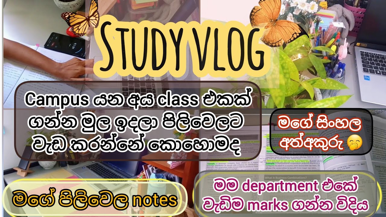 Study vlog📚|Campus යන කෙනෙක් මුල ඉදලා වැඩ කරන්න ඕනි කොහොමද🌈️|High GPA ගන්න මගේ රහස🤭|මගේ සිංහල අකුරු😁