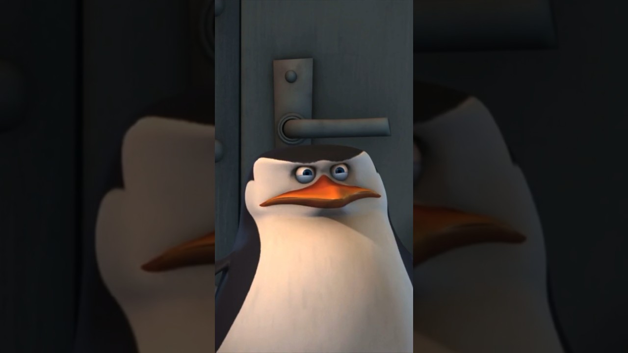 The Penguins planning anew 🐧🥚🚀