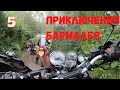 Приключения Бармалея 5