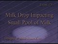 Milk Drop Captured on High-Speed Camera