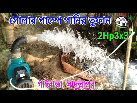 Yangi porno 2010 2011