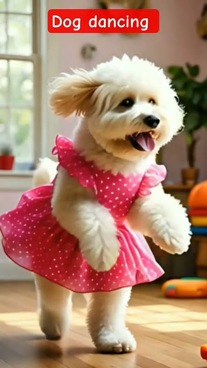 Dog dancing 🐾Cute Animals Dance 🐾🐾 #cat #dog #dance #animals #funny #ai