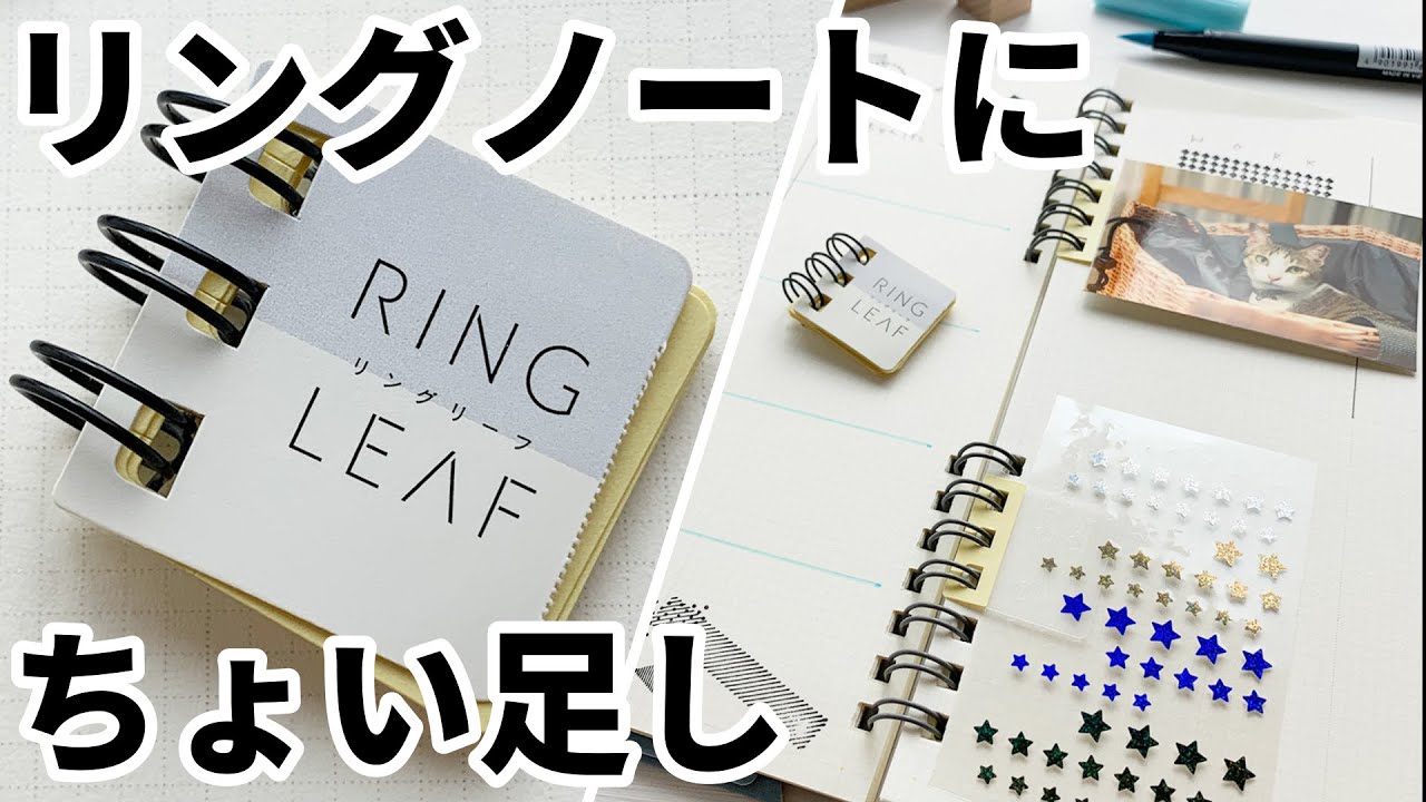 リングノートにちょい足し出来るコレ便利 和気文具ウェブマガジン リングノートにちょい足し出来るコレ便利 和気文具ウェブマガジン