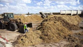 Save the Mushroom Farm in Southern Colorado!