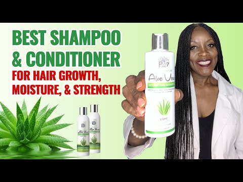 Best Shampoo &