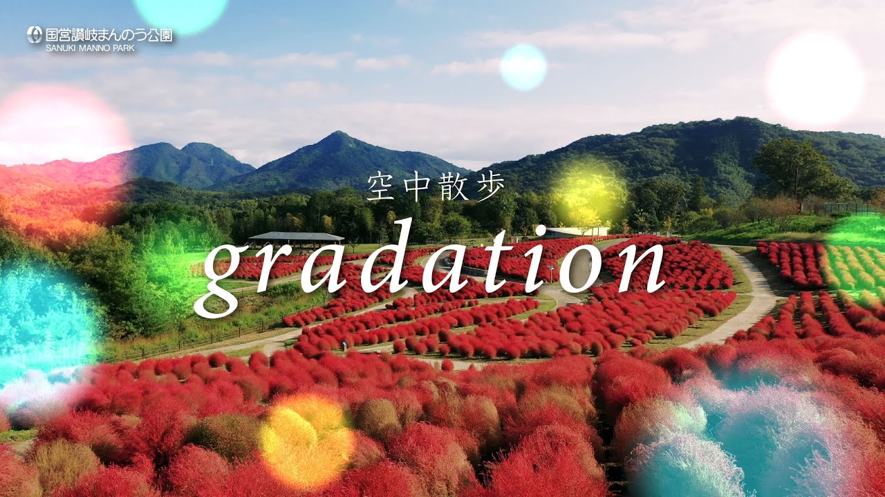 4k 空中散歩 Gradation 国営讃岐まんのう公園 Youtube