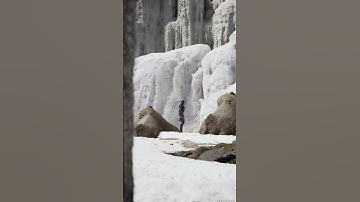 what is this? #unrealengine #unreal #cgi