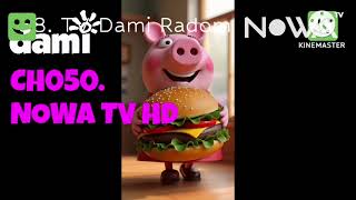 [FAKE] Zapping Kanałów Pink DVB-T2 HEVC EXP MUX VECTRA Wrocław (20.05.2025)