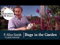 All About Bugs in the Garden | Garden Home (1510)