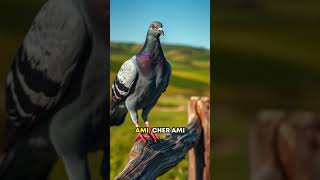 The Bird That Changed the Course of War