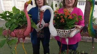Plow & Hearth Standing Animal Planter With Coco Liner on QVC
