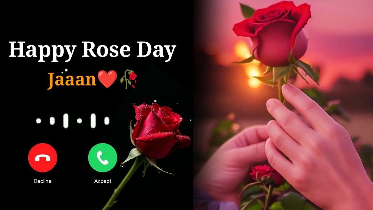 Happy Rose Day 🌺💐||Rose Day Status||Romantic Shayari 2026||Rose Day Shayari ❤️‍🩹