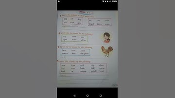 Class:1st English Language ( Final Revision Time)