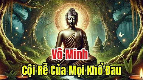 Vô Minh - Cội Rễ Của Mọi Khổ Đau #phậtgiáo #phatgiao #loiphatday