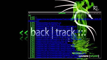 Backtrack codename[whydah]-GoLismero-The Web knife