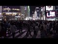渋谷クロッシング Shibuya Crossing
