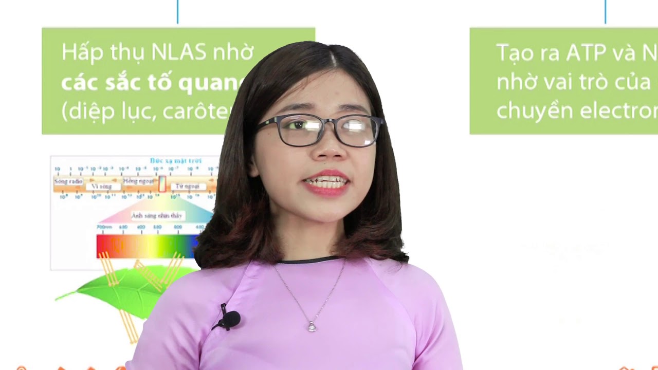 Quang hợp sinh học 10 | [Sinh học] Lớp 10: Quang hợp | Bài giảng tương tác | VsionGlobal