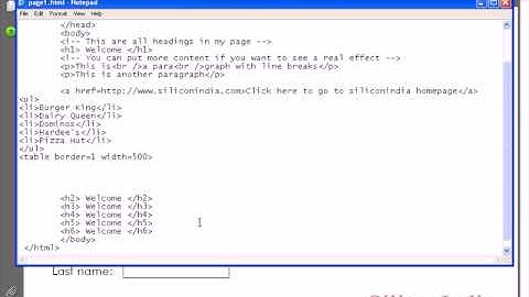 Forms in HTML - Text fields