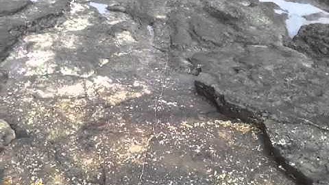 Cliffs and wavecut platform at Portrush