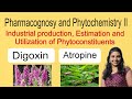 Industrial Production,Estimation &amp; Utilization of Digoxin &amp; Atropine | Pharmacognosy II 5th semester