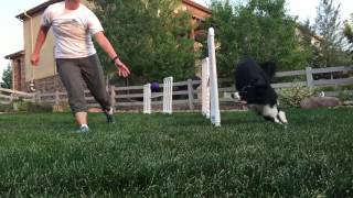 Slo-Mo Threadles
